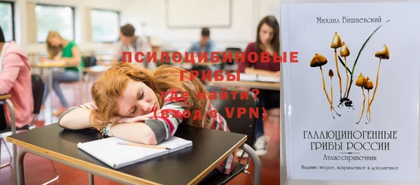 spice Баксан