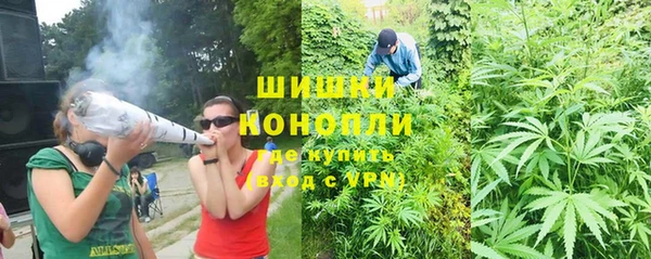 ГАЛЛЮЦИНОГЕННЫЕ ГРИБЫ Балахна