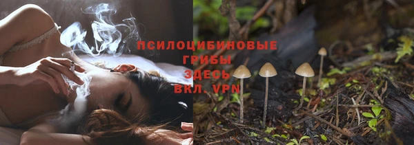 ГАЛЛЮЦИНОГЕННЫЕ ГРИБЫ Балахна