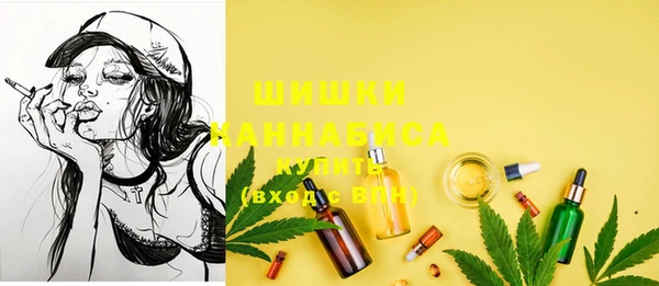 ГАЛЛЮЦИНОГЕННЫЕ ГРИБЫ Балахна
