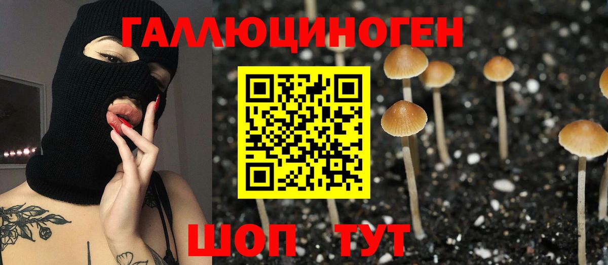 Псилоцибиновые грибы мицелий Белово